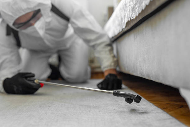 Professional Bed Bug Control technician working in Elbert County County, GA